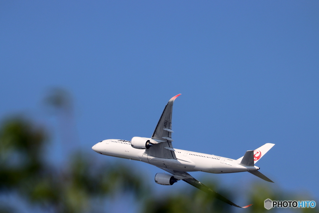 HANEDA