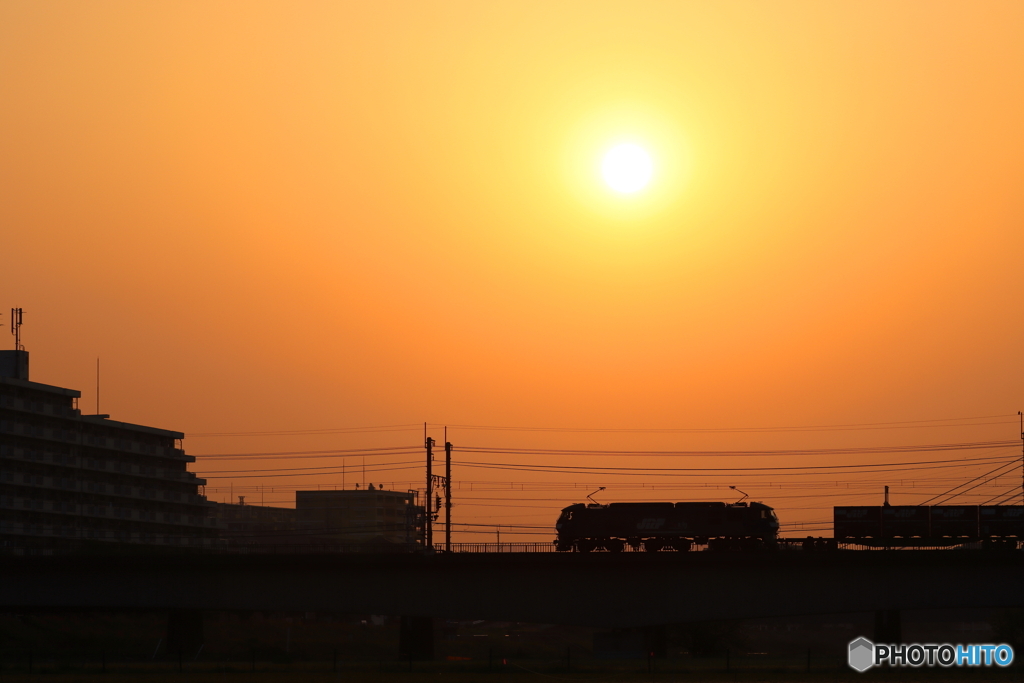 朝の多摩川