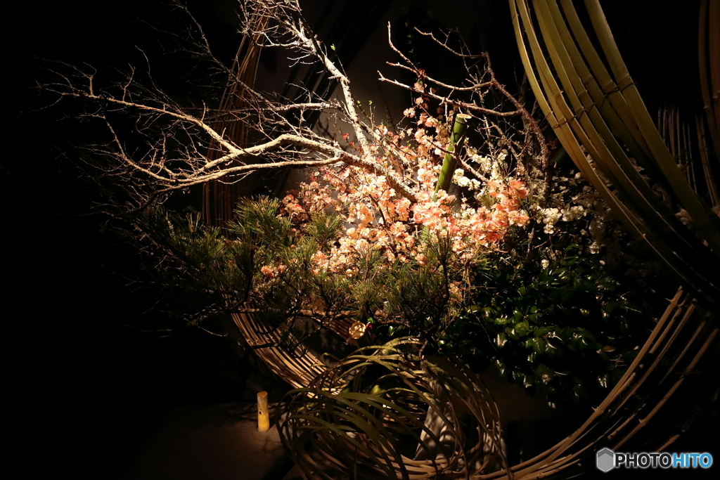 FLOWERS BY NAKED