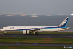 HANEDA