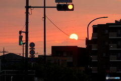朝の多摩川