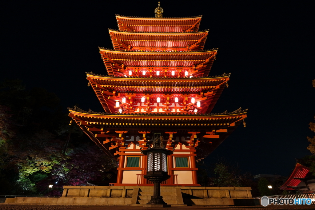 金剛寺 (高幡不動尊）