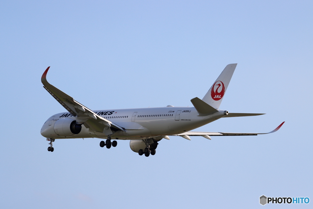 HANEDA