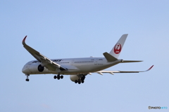 HANEDA