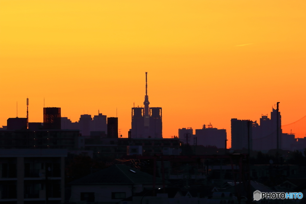 朝の多摩川