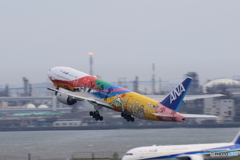 HANEDA