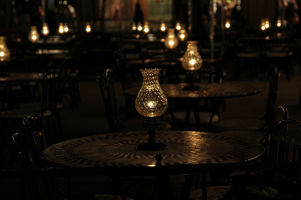 Tokyo　Disneyland