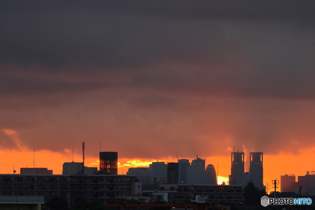 朝の多摩川