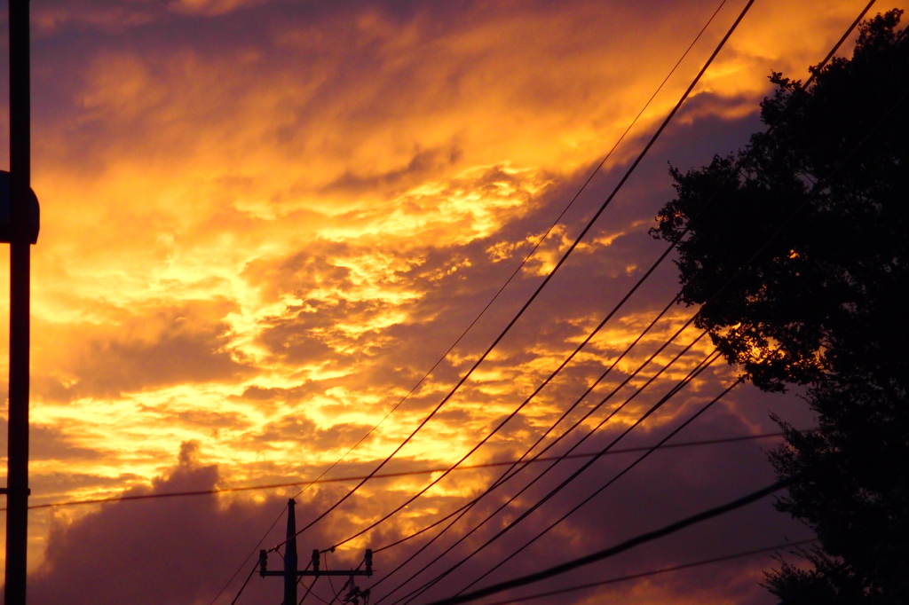 夕方の空