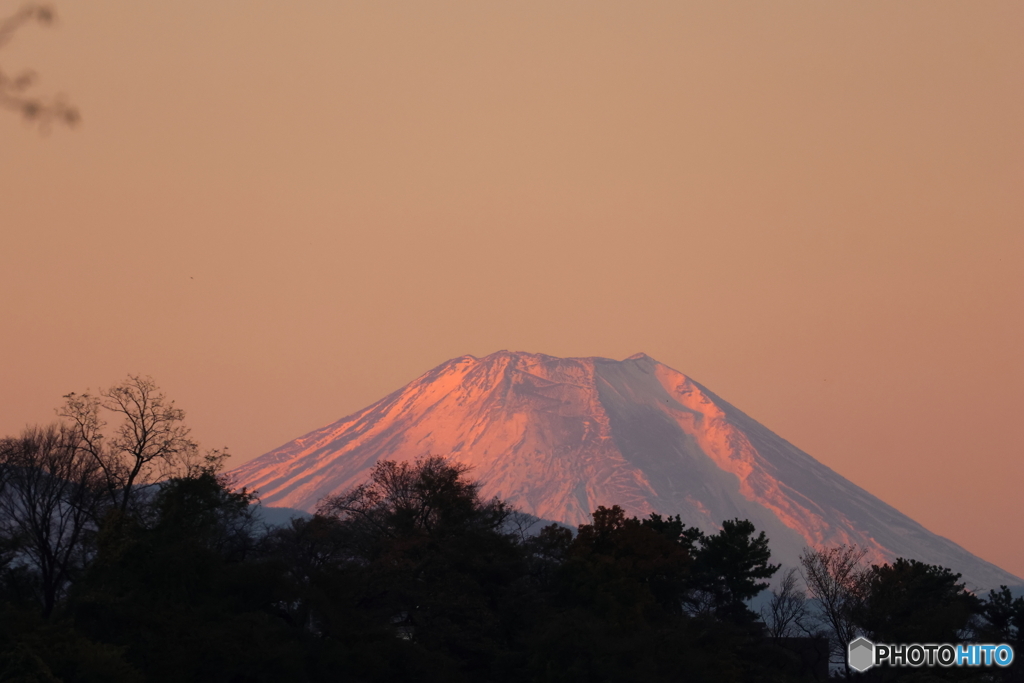 朝の多摩川