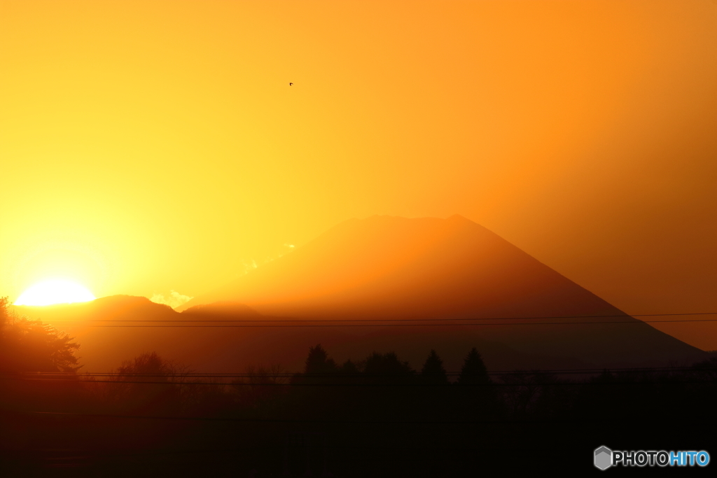 夕の多摩川