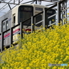 街並み
