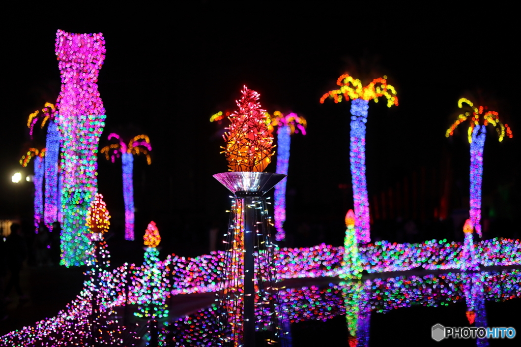 イルミネーション
