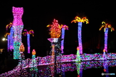 イルミネーション