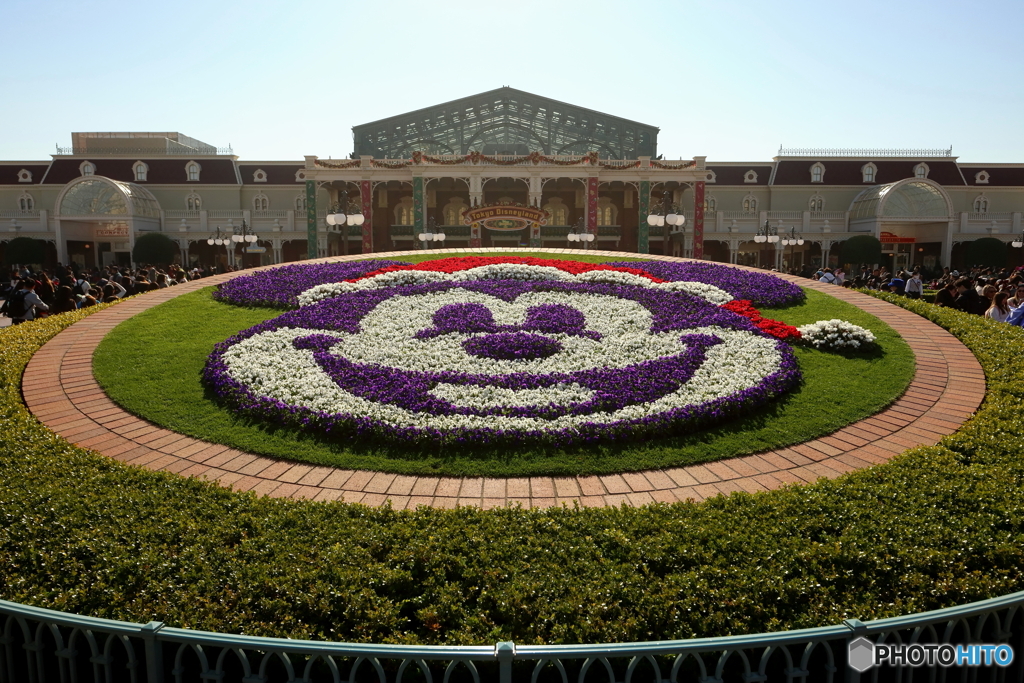 ディズニーリゾート