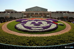 ディズニーリゾート