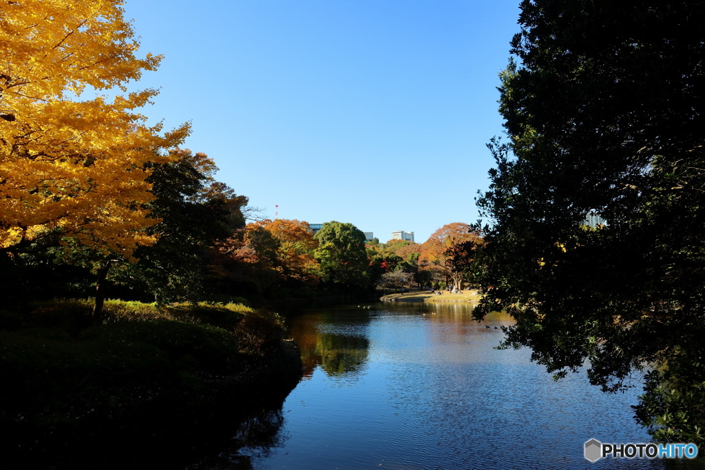 北の丸公園