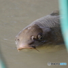 こんにちは～
