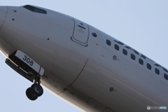 HANEDA