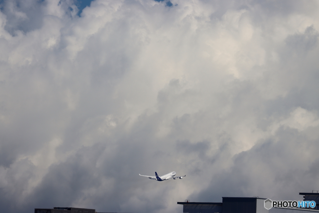 HANEDA