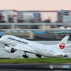 HANEDA