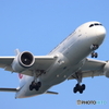 HANEDA
