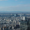 都庁展望台