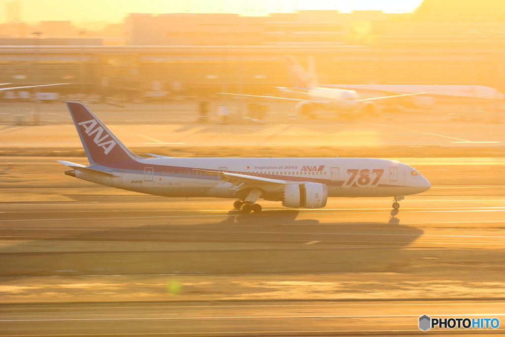 787ロゴ入り機シリーズ②