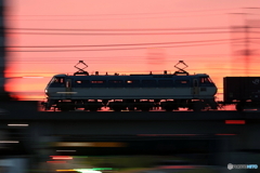 朝の多摩川