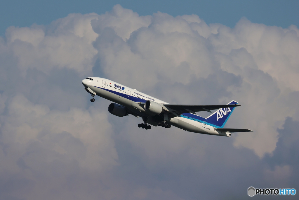 HANEDA