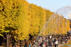 昭和記念公園