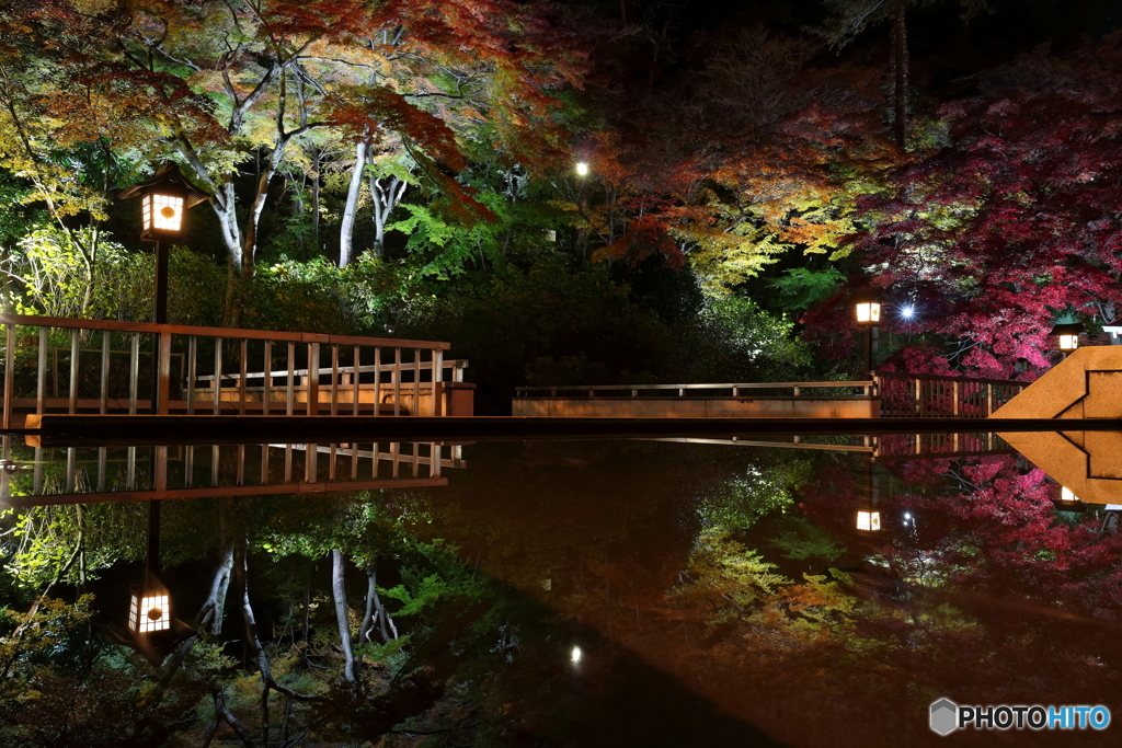 金剛寺 (高幡不動尊）