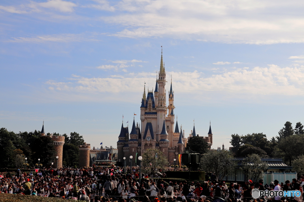 ディズニーリゾート