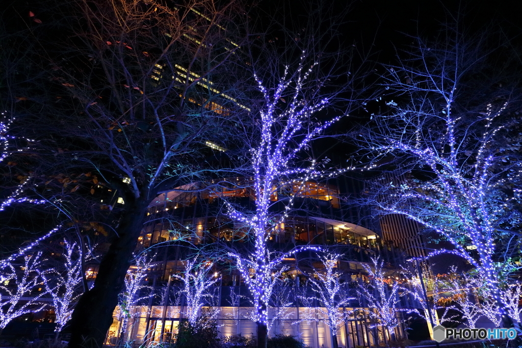 東京ミッドタウン