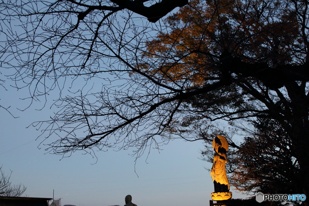 長谷寺