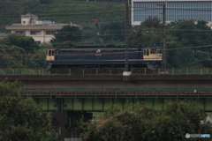 朝の多摩川