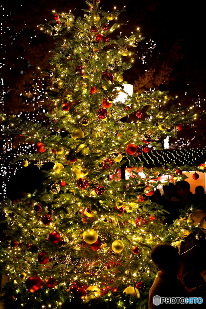 イルミネーション