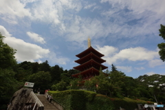 あじさいまつり
