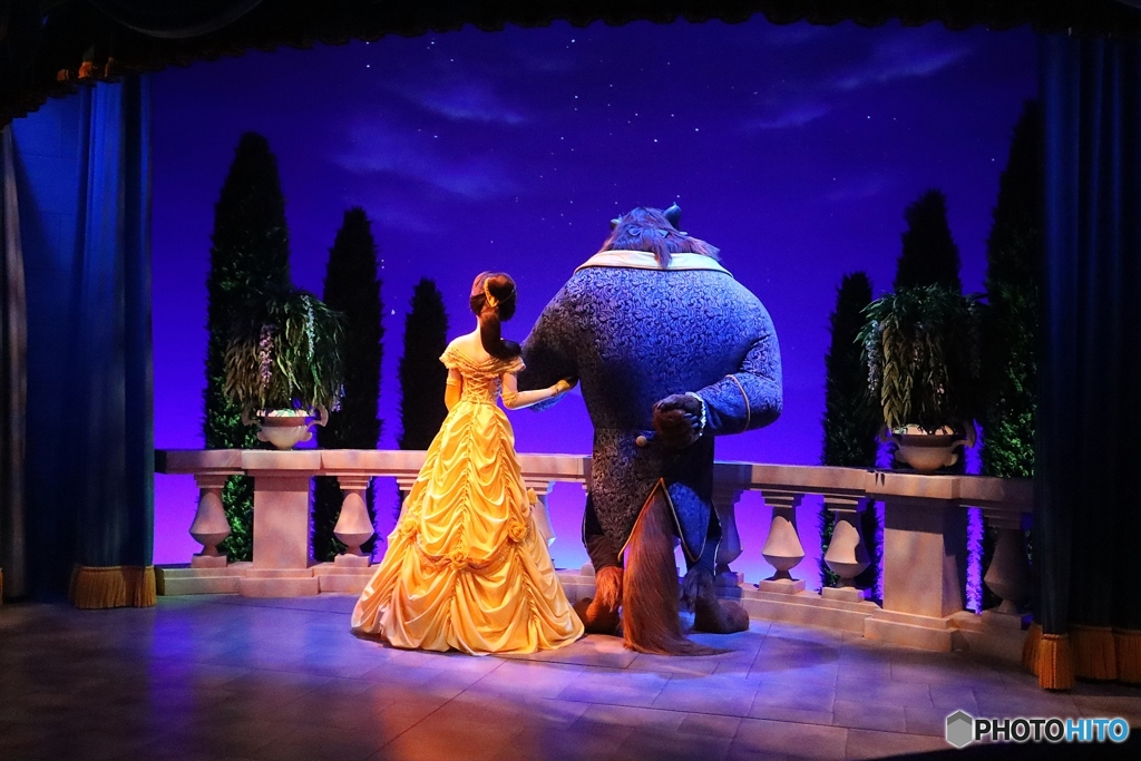 ディズニーリゾート