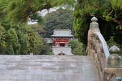 鶴岡八幡宮