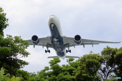 HANEDA