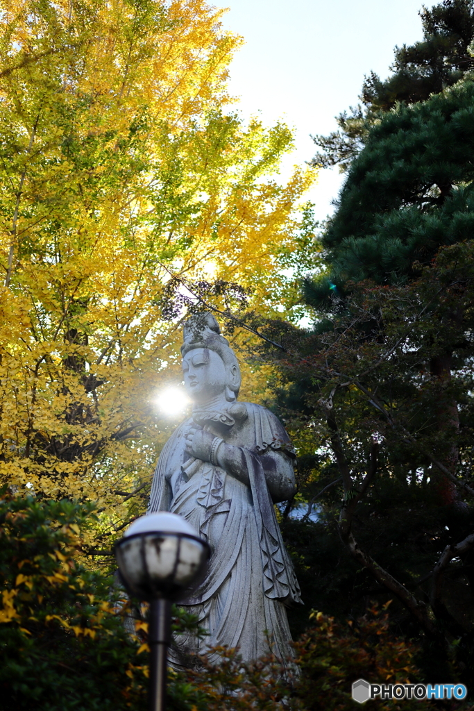 高幡山明王院金剛寺