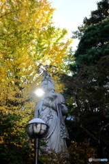 高幡山明王院金剛寺