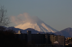 明けましておめでとうございます。