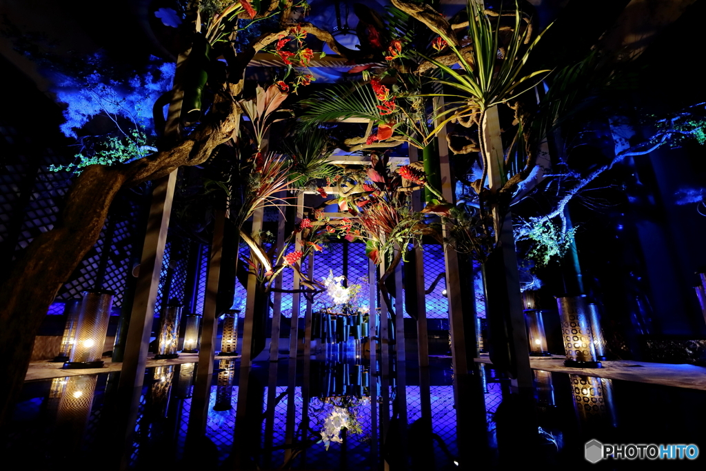 和のあかり×百段階段 2023