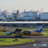 HANEDA
