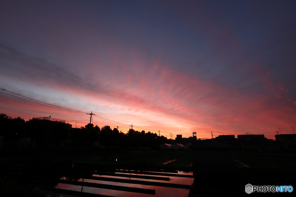 朝の空
