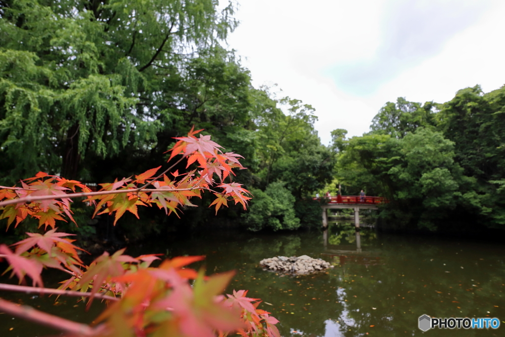 大宮氷川神社