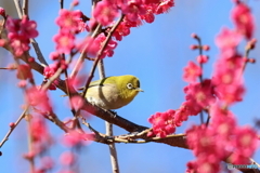 郷土の森