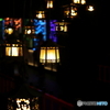 アートアクアリウム美術館 GINZA